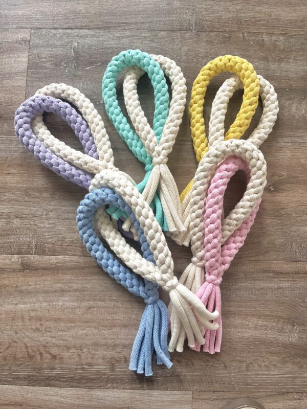 Double Loop Dog Toy